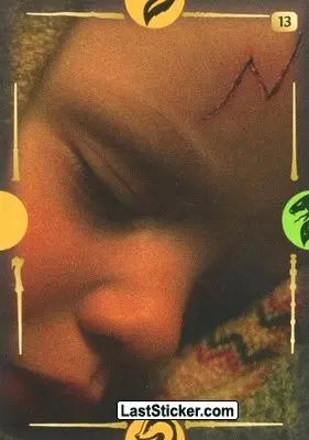 Card 13