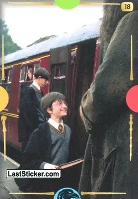 Card 18