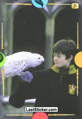 Card 21