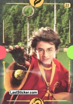 Card 22