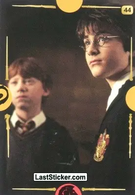 Card 44